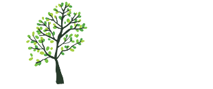 gli amici di davide